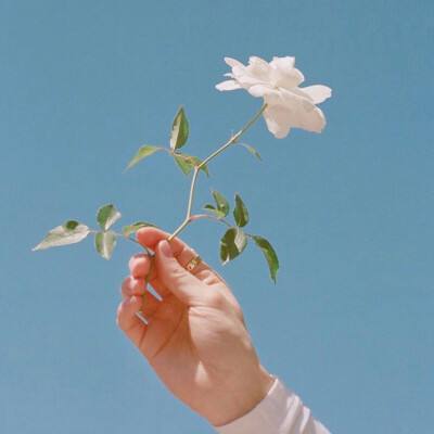 萌萌狼人杀手机版下载